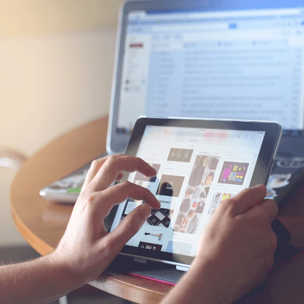 Develop the website